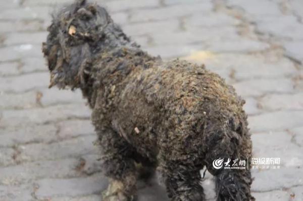 突發(fā)！青島一居民樓發(fā)生爆燃！已造1人死亡，7人受傷！3公里外有震感…