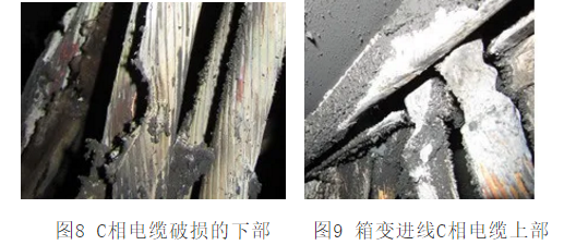 1609322211363028.png 圖片.png